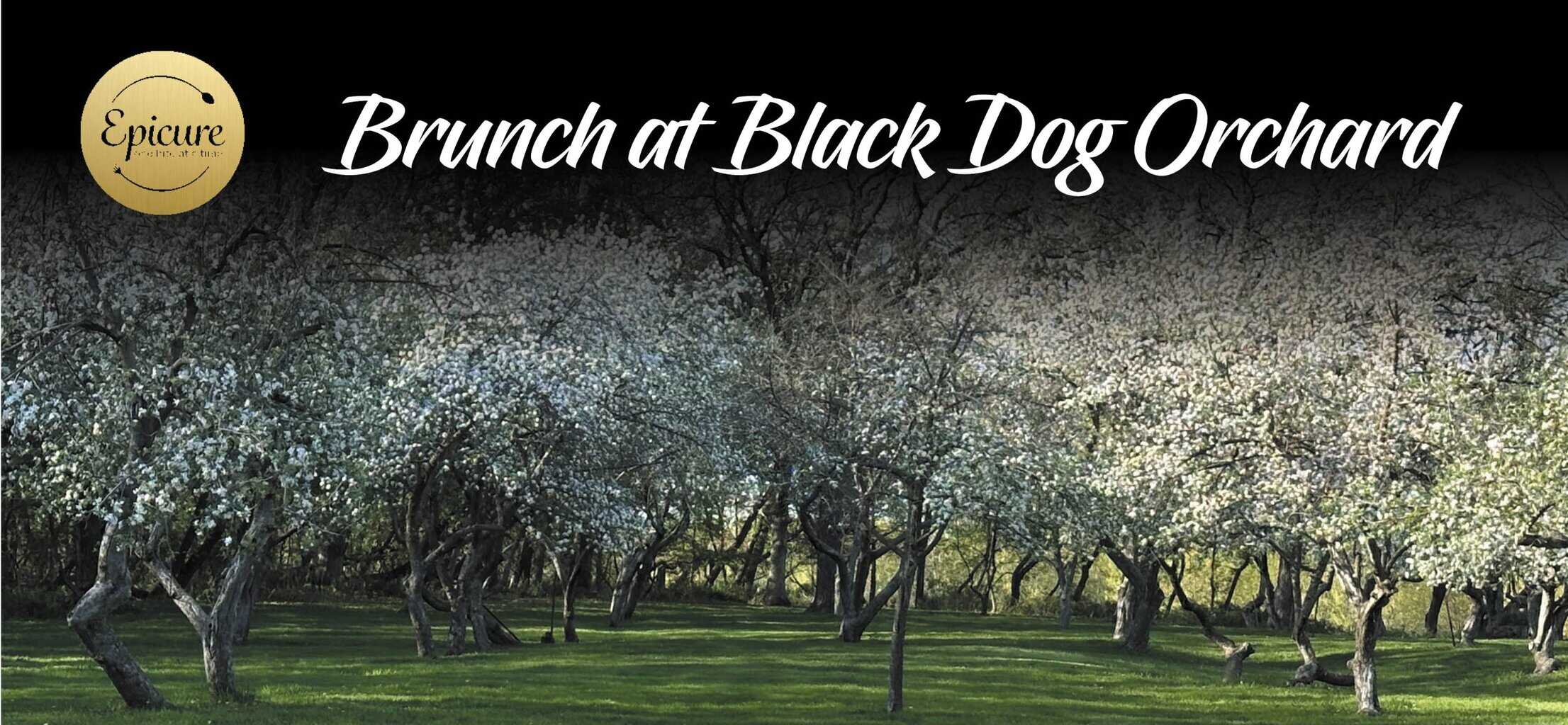 Brunch At Black Dog Orchard Brunch At Black Dog Orchard Scaled - Channel One