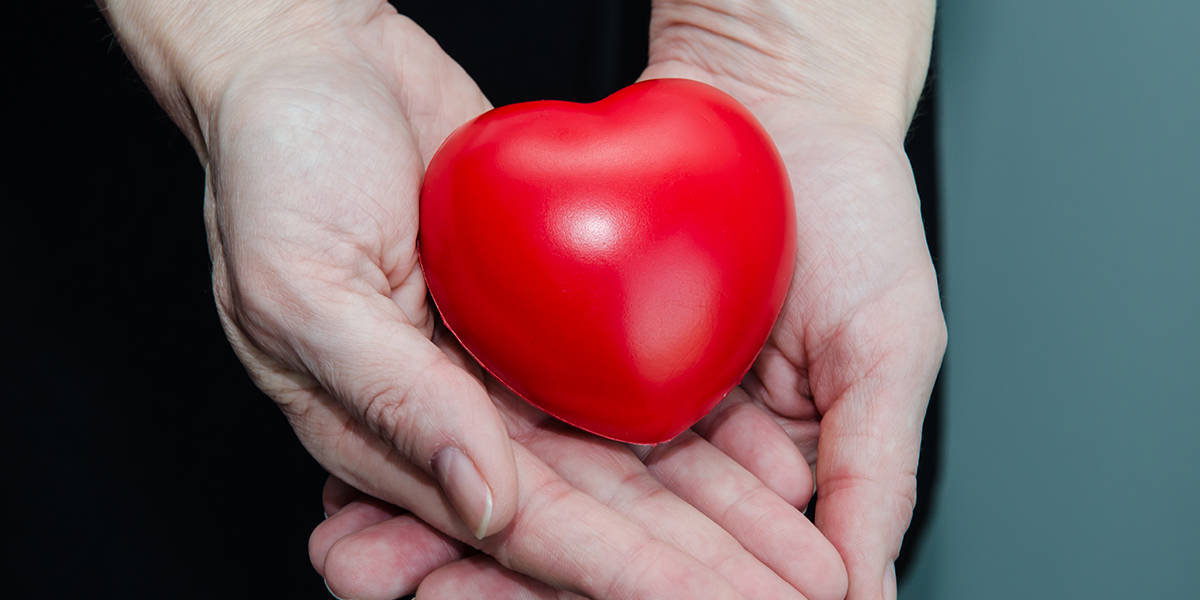 Hands Holding A Smooth, Red, Heart-Shaped Object Against A Dark Background.