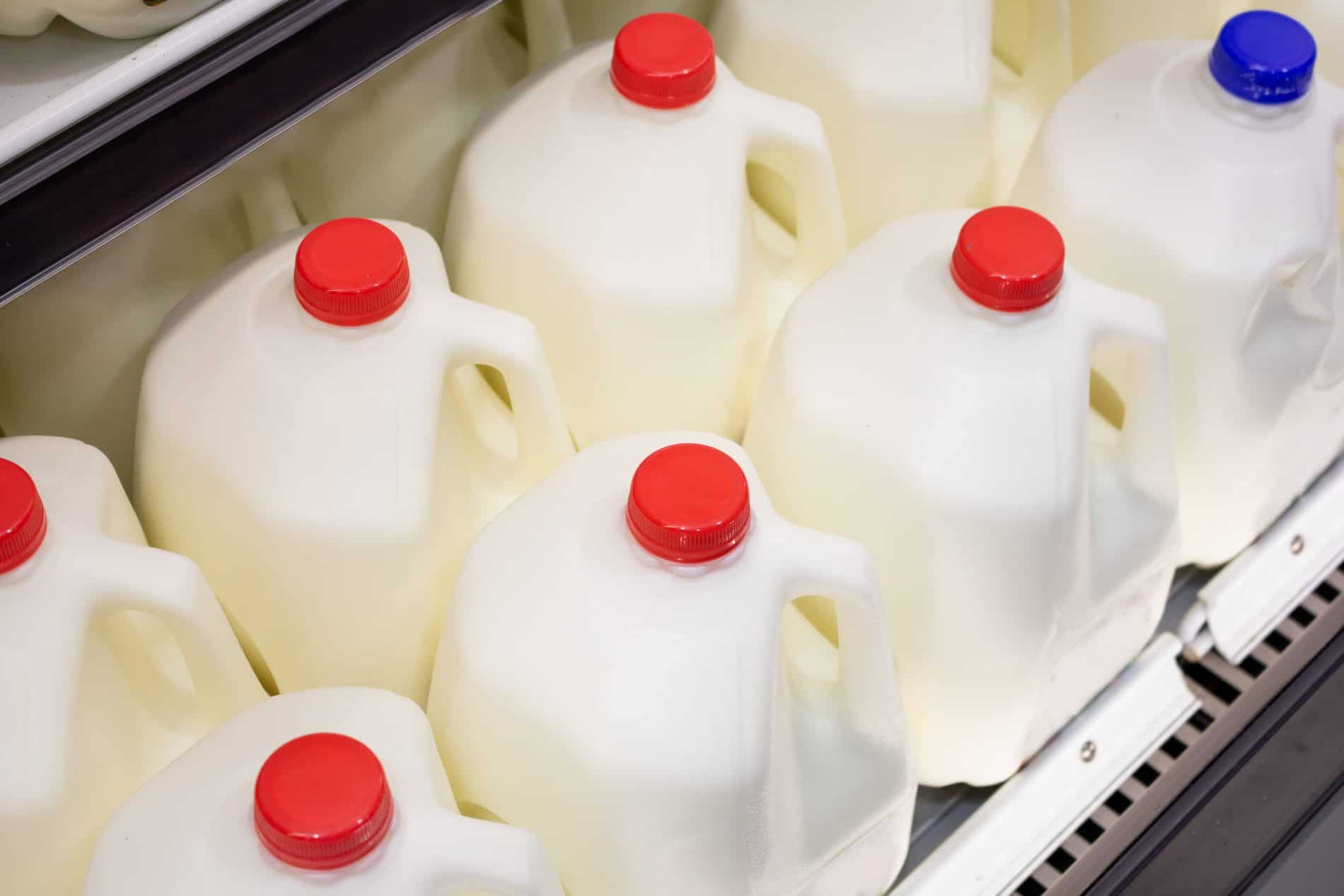 Plastic Milk Jugs With Red And Blue Caps Are Displayed On Shelves In A Refrigerator.