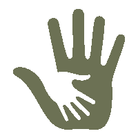Volunteer